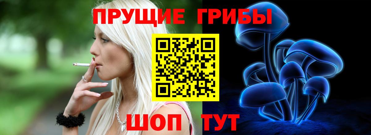 Псилоцибиновые грибы мицелий Южно-Сахалинск